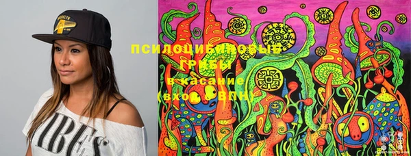 дурь Абинск