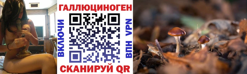 Псилоцибиновые грибы мицелий  Ростов-на-Дону 